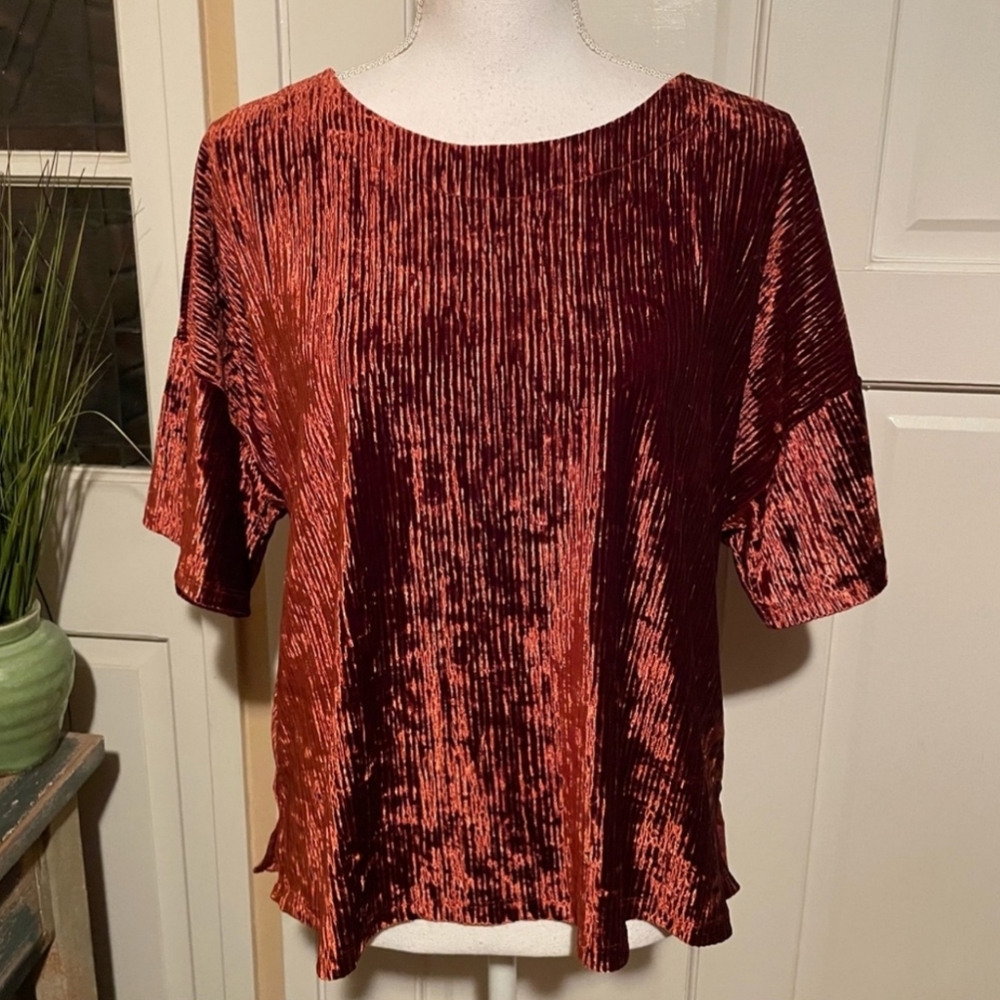 Banana Republic Velvet Blouse